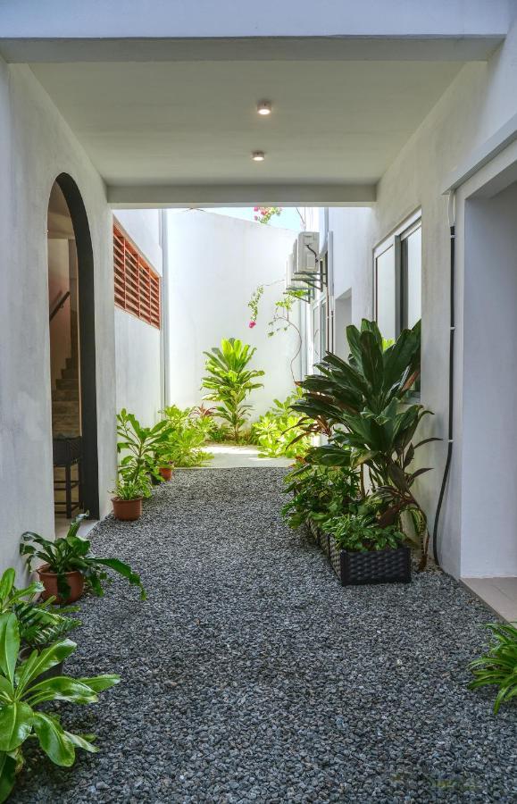 Island Ambience Maafushi