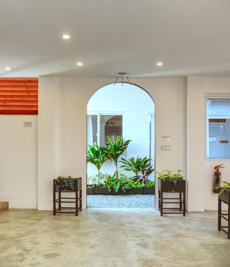 Island Ambience * Maafushi